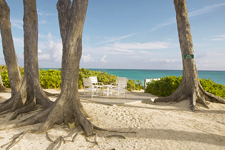 Beachside patio is wonderful for beachside relaxing shaded by the 70' towering pine trees.