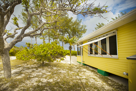 View of Palmetto from the kitchen entrance of the cottage.