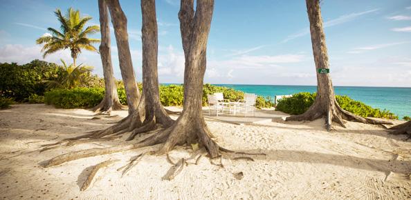 Palmetto beach patio on the Atlantic Ocean.