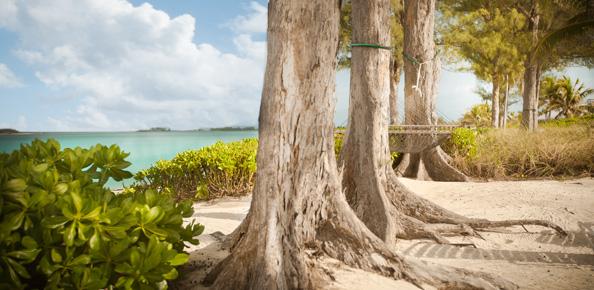 Both Seagrape and Palmetto feature large, shaded rope hammocks on the beach.